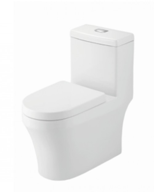 Washdown One-Piece Toilet- P-trap (Huida)