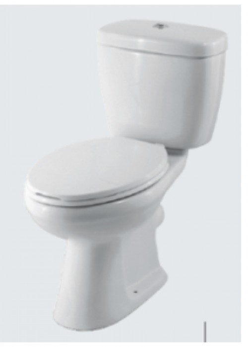 Washdown Close-coupled Toilet 1(Huida)