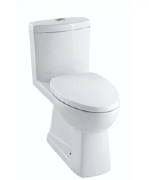 Washdown One-Piece Toilet- S-trap (Huida)